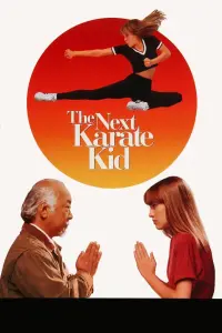 Poster to the movie "The Next Karate Kid" #63670