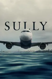 Poster to the movie "Sully" #234182