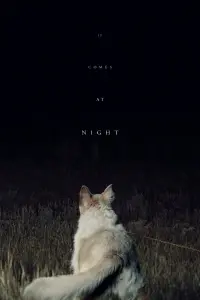 Poster to the movie "It Comes at Night" #135368