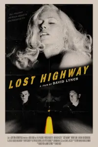 Poster to the movie "Lost Highway" #194509