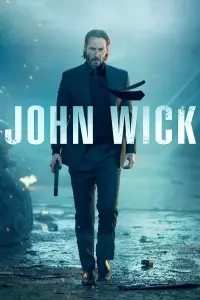 Poster to the movie "John Wick" #51560