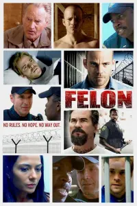 Poster to the movie "Felon" #234121