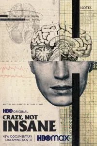 Poster to the movie "Crazy, Not Insane" #143523