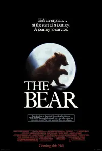 Poster to the movie "The Bear" #435569