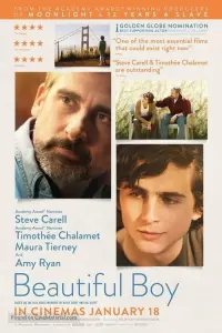 Poster to the movie "Beautiful Boy" #98544