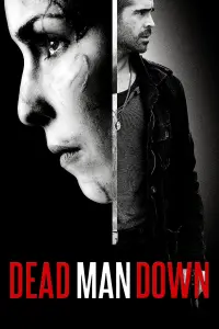 Poster to the movie "Dead Man Down" #299839