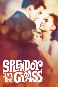 Poster to the movie "Splendor in the Grass" #365066