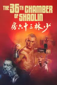 Poster to the movie "The 36th Chamber of Shaolin" #213862