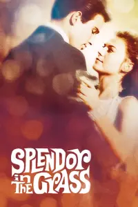 Poster to the movie "Splendor in the Grass" #365054