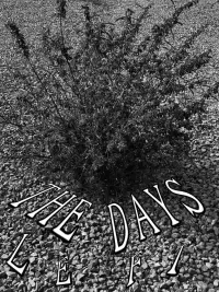 Poster to the movie "The Days Left" #366801