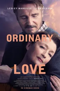 Poster to the movie "Ordinary Love" #145892