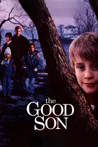 Poster to the movie "The Good Son" #78315