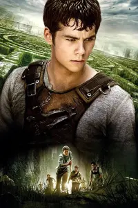 Poster to the movie "The Maze Runner" #515371