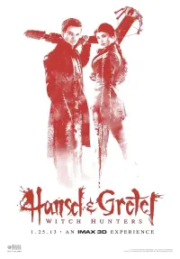 Poster to the movie "Hansel & Gretel: Witch Hunters" #48566