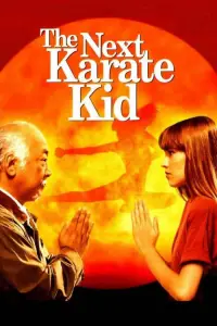 Poster to the movie "The Next Karate Kid" #63671