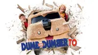 Backdrop to the movie "Dumb and Dumber To" #43197