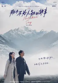 Poster to the movie "那个不为人知的故事" #597282