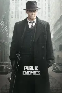 Poster to the movie "Public Enemies" #271240