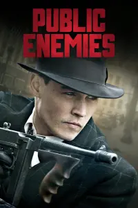 Poster to the movie "Public Enemies" #271255