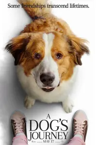 Poster to the movie "A Dog