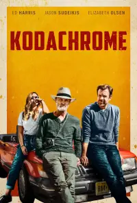 Poster to the movie "Kodachrome" #261897