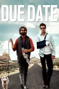 Poster to the movie "Due Date" #85147