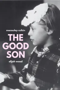 Poster to the movie "The Good Son" #664727