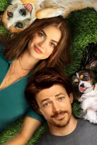 Poster to the movie "Puppy Love" #341299