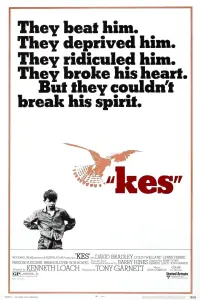 Poster to the movie "Kes" #211582