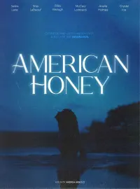 Poster to the movie "American Honey" #572640