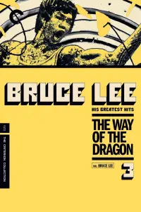 Poster to the movie "The Way of the Dragon" #82871