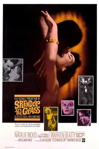 Poster to the movie "Splendor in the Grass" #365065