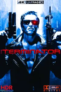 Poster to the movie "The Terminator" #167395