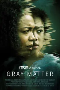 Poster to the movie "Gray Matter" #156809