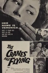 Poster to the movie "The Cranes Are Flying" #181594