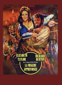 Poster to the movie "The Taming of the Shrew" #584059