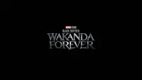 Backdrop to the movie "Black Panther: Wakanda Forever" #4261