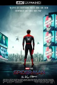 Poster to the movie "Spider-Man: No Way Home" #3479