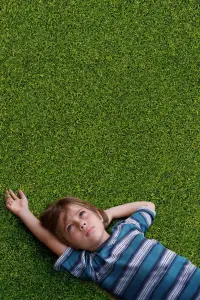 Poster to the movie "Boyhood" #210793