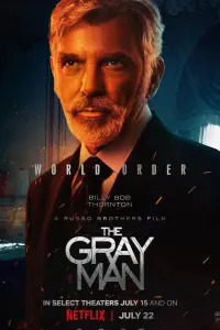 Poster to the movie "The Gray Man" #45831