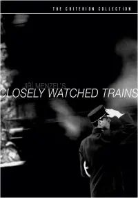 Poster to the movie "Closely Watched Trains" #526792