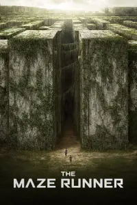 Poster to the movie "The Maze Runner" #7908