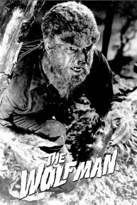 Poster to the movie "The Wolf Man" #117026