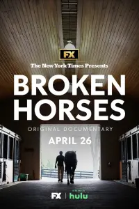 Poster to the movie "Broken Horses" #453861