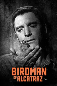 Poster to the movie "Birdman of Alcatraz" #151539