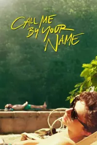 Poster to the movie "Call Me by Your Name" #37201