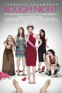 Poster to the movie "Rough Night" #107118