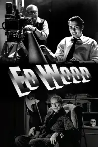 Poster to the movie "Ed Wood" #545041