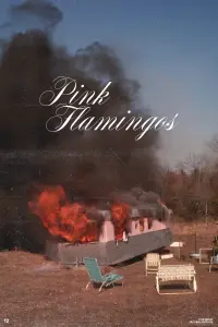 Poster to the movie "Pink Flamingos" #350755