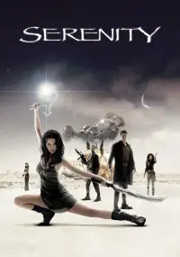 Poster to the movie "Serenity" #220730